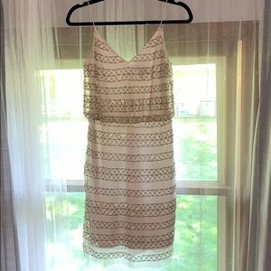 Adrianna Papell Evening Dress Size 2